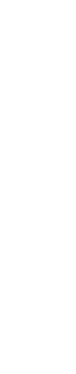 NanoS